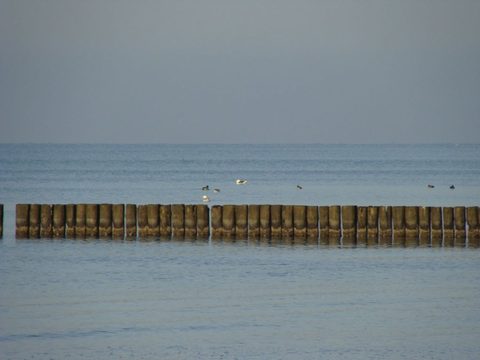 DSC00020.JPG