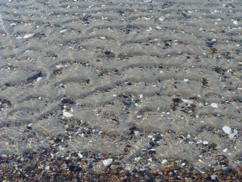 DSC00021.JPG