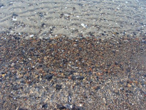 DSC00041.JPG