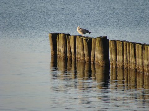 DSC00091.JPG