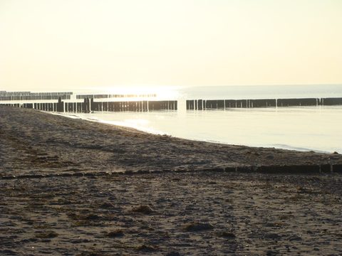 DSC00100.JPG