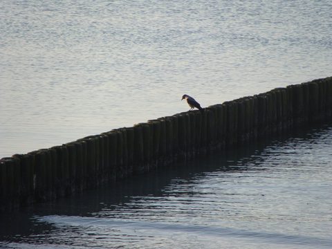 DSC00132.JPG