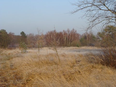 DSC00322.JPG