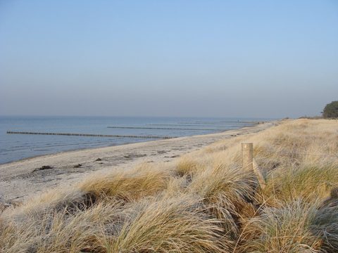 DSC00338.JPG