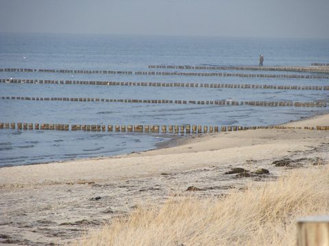 DSC00343.JPG