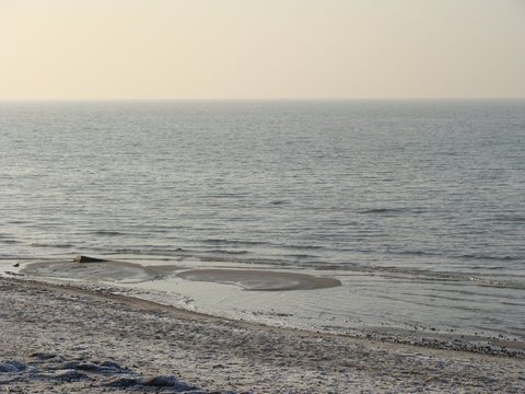 DSC00346.JPG