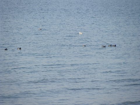 DSC00349.JPG