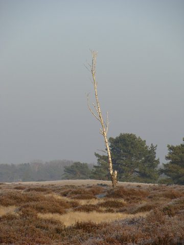 DSC00351.JPG