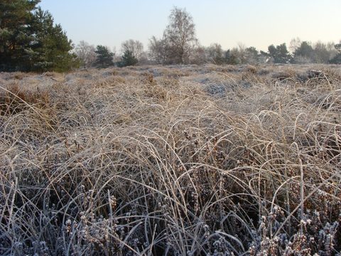DSC00357.JPG