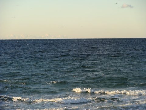 DSC00680.JPG