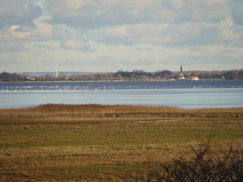 DSC00718.JPG