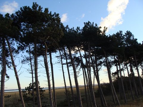 DSC00760.JPG