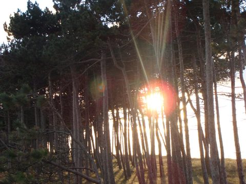 DSC00831.JPG