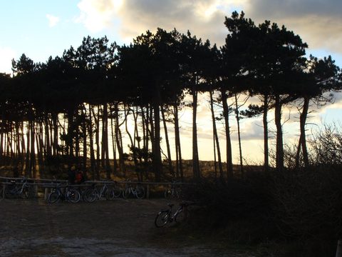 DSC00895.JPG