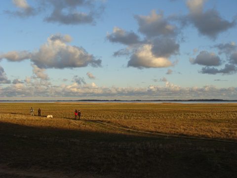 DSC00897.JPG
