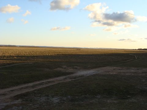 DSC00904.JPG