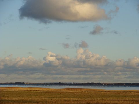 DSC00905.JPG