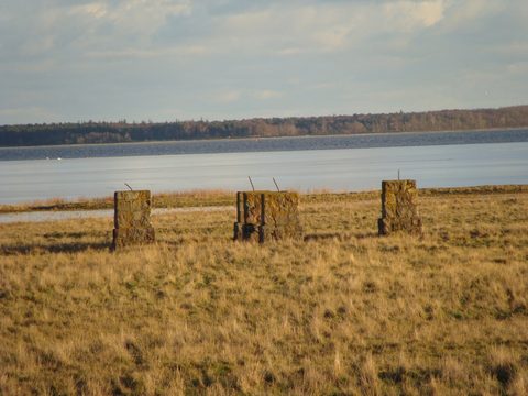 DSC00920.JPG