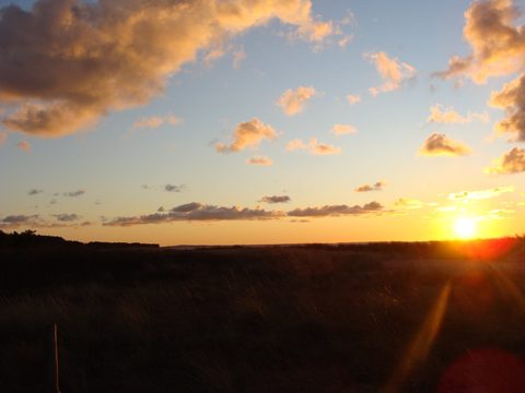 DSC01047.JPG