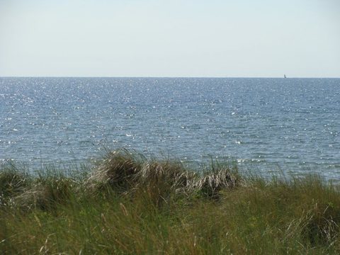 DSC04945.JPG