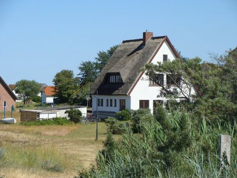DSC04946.JPG